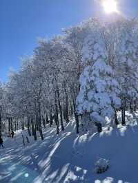 Tokyo to Yamagata Zao Onsen: The Perfect Getaway for Skiers & Non-Skiers Alike ❄️🏔️♨️