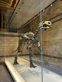 3 museums in London for free