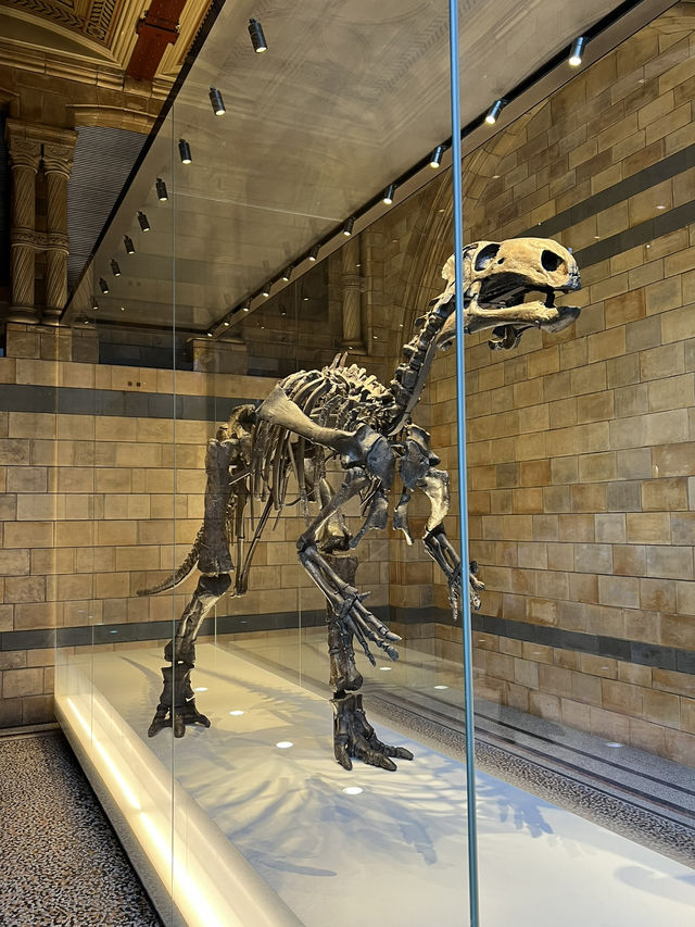 3 museums in London for free