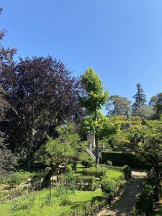 Botanical Garden Coimbra 🌴🌲
