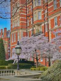 London 3 Days Itinerary 🇬🇧