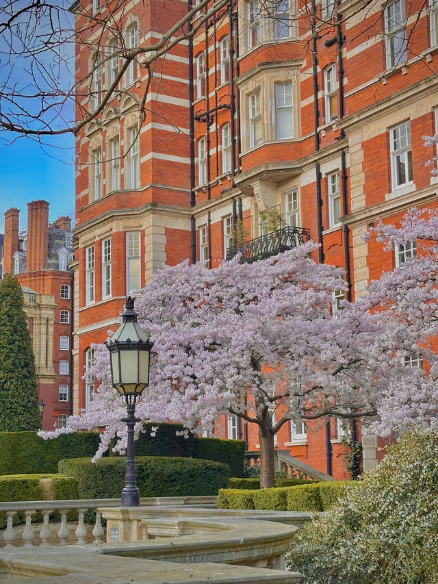 London 3 Days Itinerary 🇬🇧