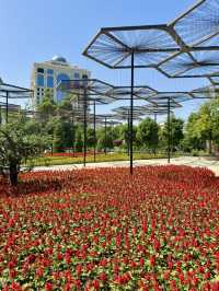 Spring in Dushanbe – A Stroll Through Ahmad Donish Park