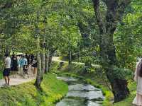Fujikawaguchiko: A Peaceful Escape at the Foot of Mt. Fuji