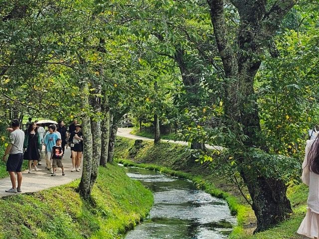 Fujikawaguchiko: A Peaceful Escape at the Foot of Mt. Fuji