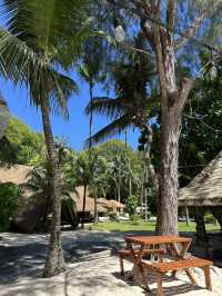 Best Place in Mahe to meet the tortoises