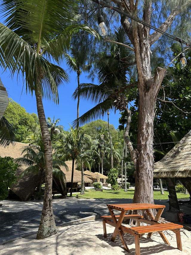 Best Place in Mahe to meet the tortoises