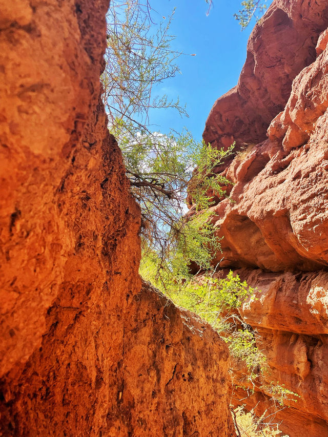 🏜️ China’s Secret Grand Canyon – Silk Road Scenery That’ll Take Your Breath Away