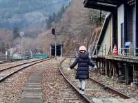 Kamioka: A Hidden Mountain Escape with a Rail Bike Twist 