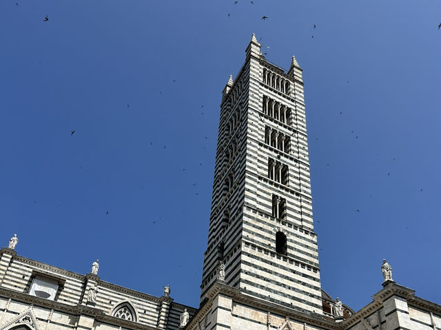This is one of the most important church in Siena