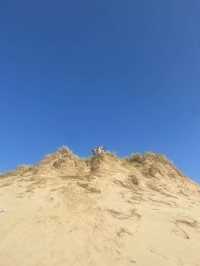 beach life or no life 