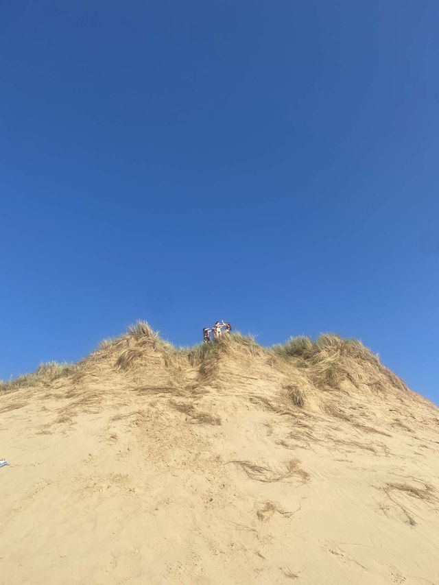 beach life or no life 