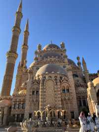 Budget Diving Escape in Sharm – All in for $100!