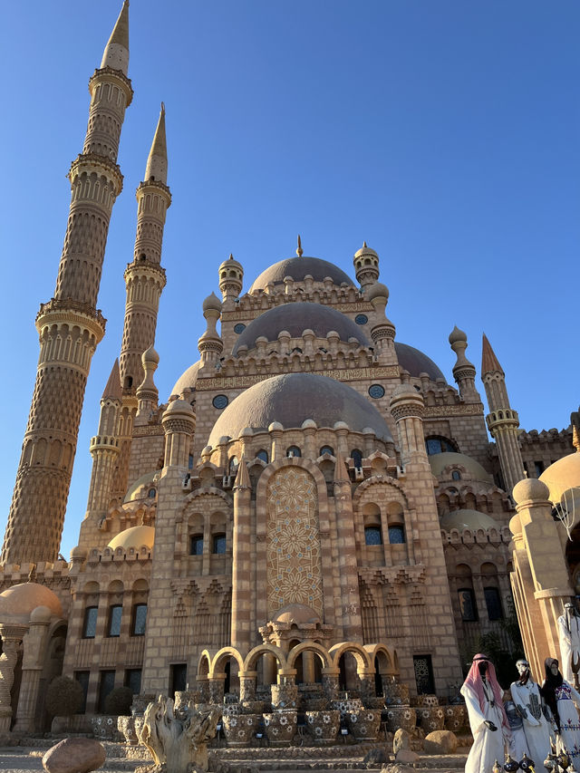 Budget Diving Escape in Sharm – All in for $100!