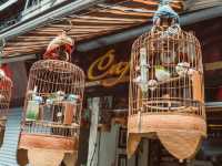 Hanoi, Vietnam: Discovering the Cozy Charms of the Capital’s Hidden Streets