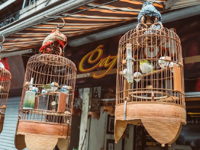 Hanoi, Vietnam: Discovering the Cozy Charms of the Capital’s Hidden Streets