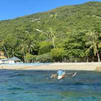 Dive Into Wonder: Cebu’s Underwater Paradise