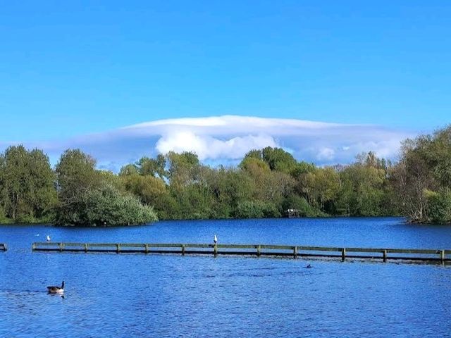 🌳 Stanley Park: Blackpool’s Peaceful Green Escape 🇬🇧🌸