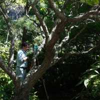 Tokyo’s Green Side: Parks, Gardens & Hidden Nature