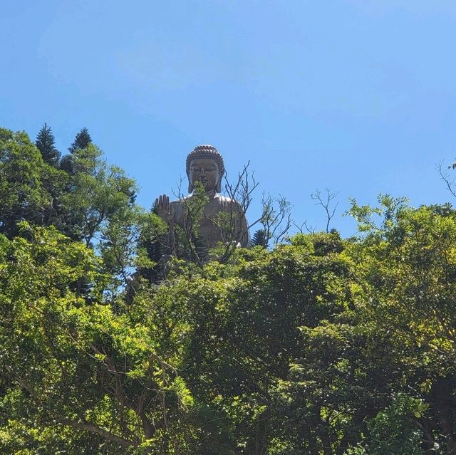 🌟 Discover the Majesty of the Big Buddha in Hong Kong! 🇭🇰🧘‍♂️