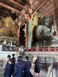 Step Into Ancient Majesty: A Nara Day at Todai-ji