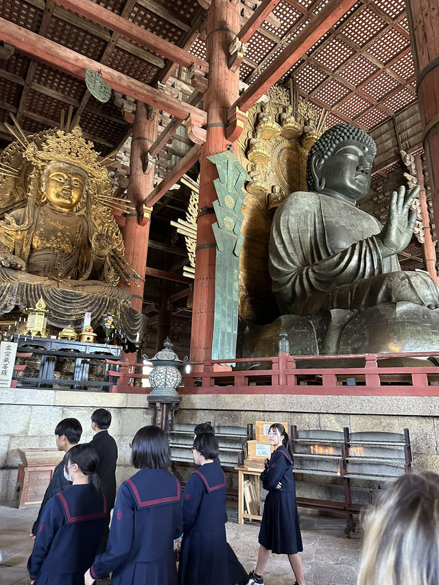 Step Into Ancient Majesty: A Nara Day at Todai-ji