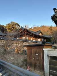 Hereโs how to conquer Daegu in one epic day!