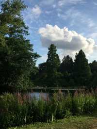 🌿 Kew Gardens: A Green Escape in London