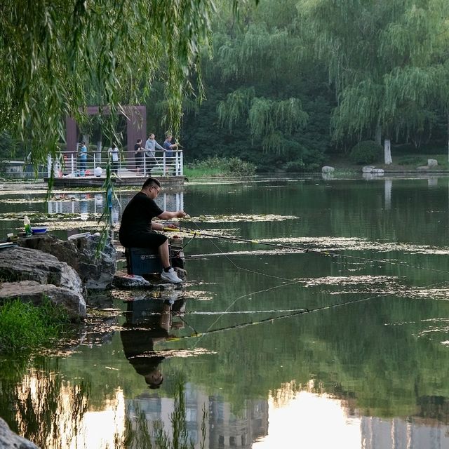 🌿 Hidden Gems Around Swan Lake: Discover Hefei’s Modern Heart 🌿 Hidden Gems Around Swan Lake: Discover Hefei’s Modern Heart