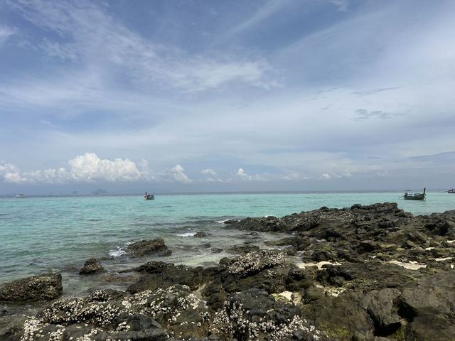 Захватывающее приключение на один день.
