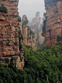 Как Увидеть парк Аватар без толп!