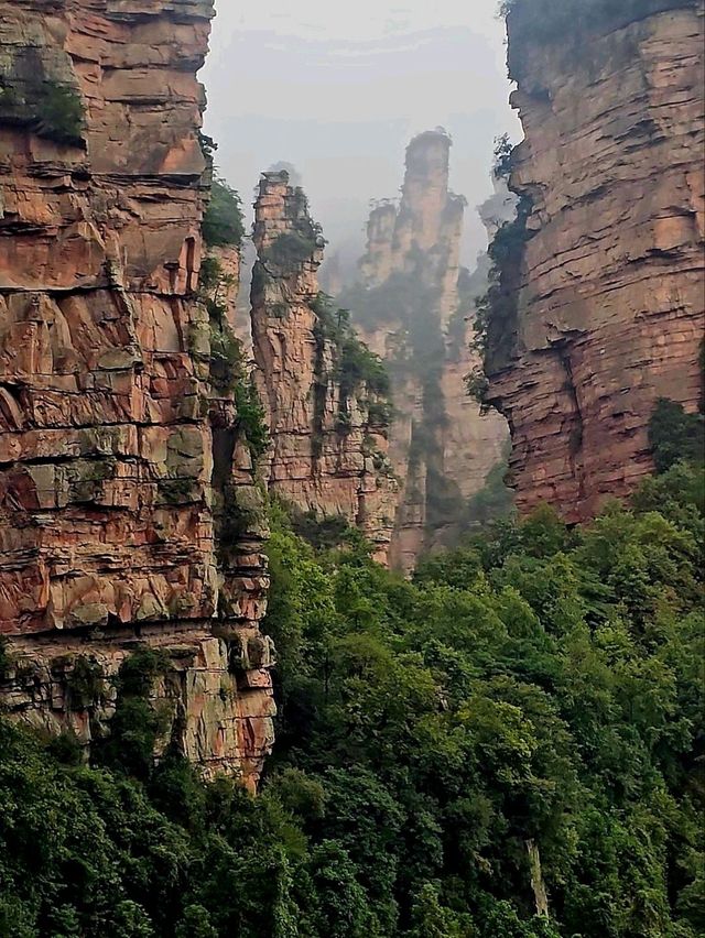 Как Увидеть парк Аватар без толп!