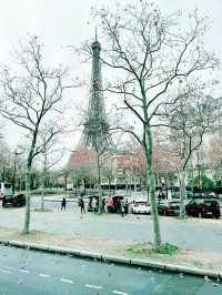 Paris from Above: Big Bus Tour & Eiffel Tower Views 🇫🇷