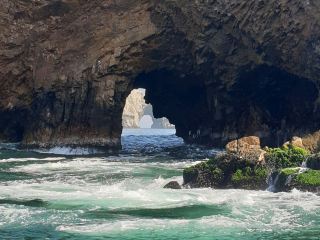 Ballestas Islands: Nature at Arm's Reach.