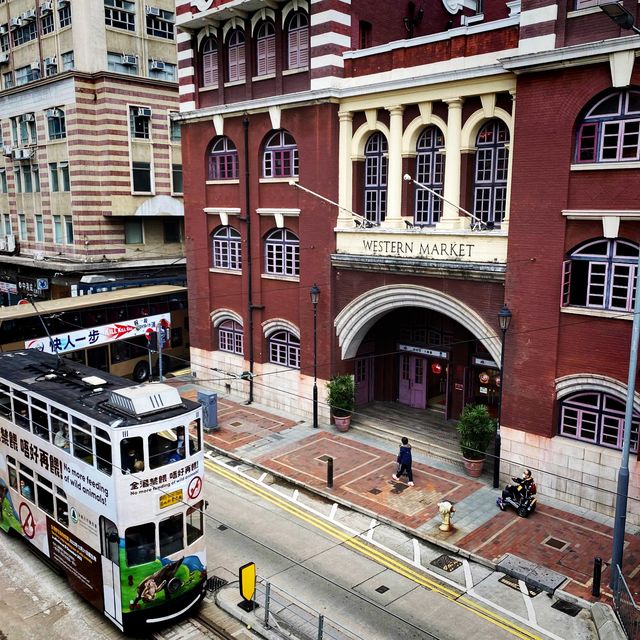 Stunning travels in HKG tramways 🚋