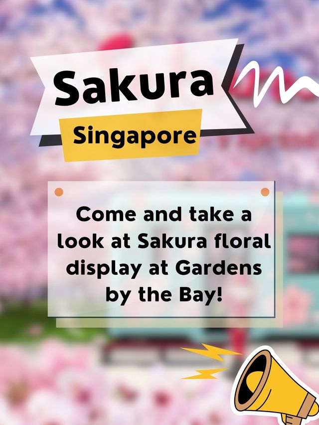 Take a look at Sakura floral display in SG🌸