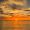 zephyrion_4356