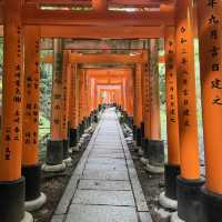 Hike through a thousand inscribed gates 😍