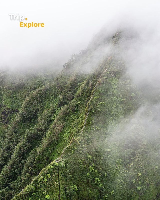 Explore Haiku Stairs with us