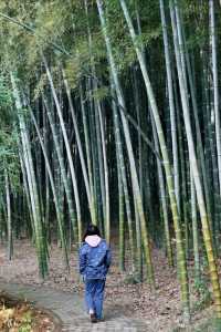 秋冬季的長沙植物園，別樣的美