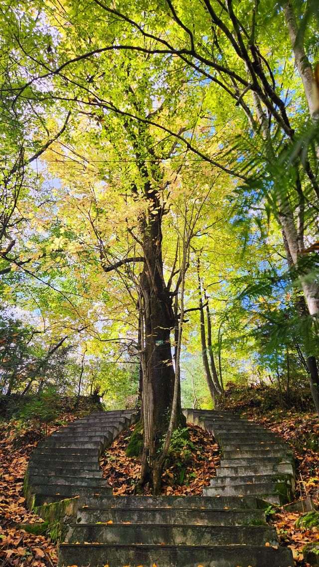 文縣天池秋季萬山紅遍