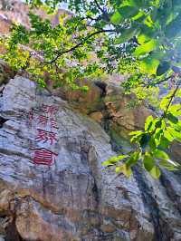 羅山，你的美內斂，聰穎