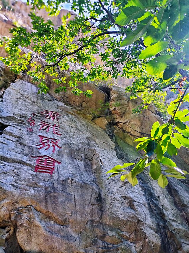 羅山，你的美內斂，聰穎