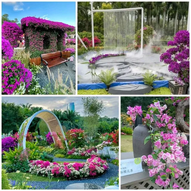 ✨深圳~蓮花山公園🌺✨