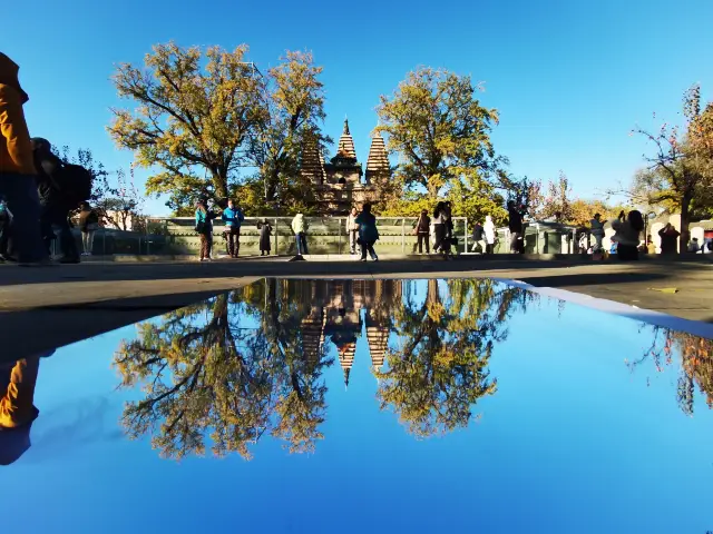 2023 Mirror view of the Five Pagoda Temple