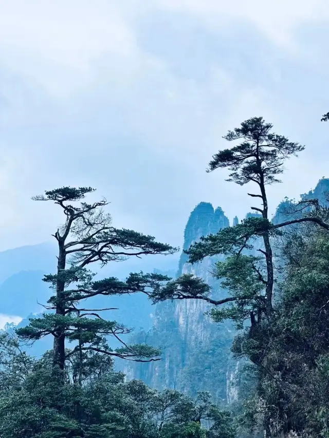 莽山一座讓我輕鬆爬完的山|||郴州莽山五指峰