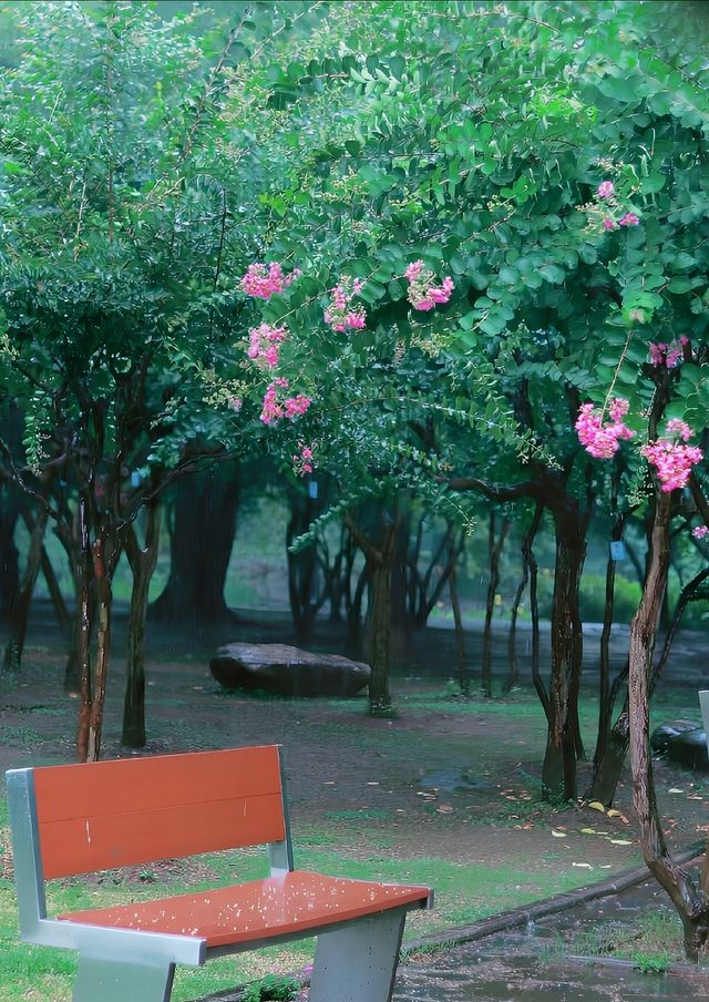 廣東中山公園｜此生難以忘懷的唯美風景