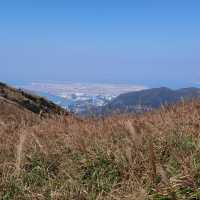 香港行山第十四站—鳳凰徑一段二段