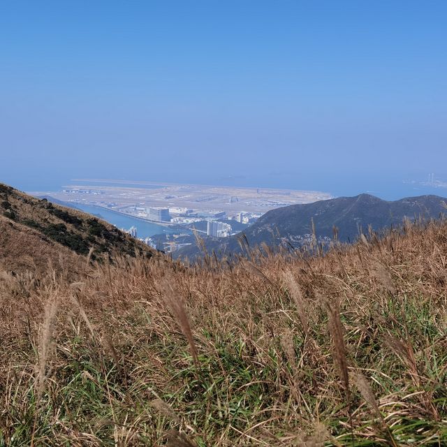 香港行山第十四站—鳳凰徑一段二段