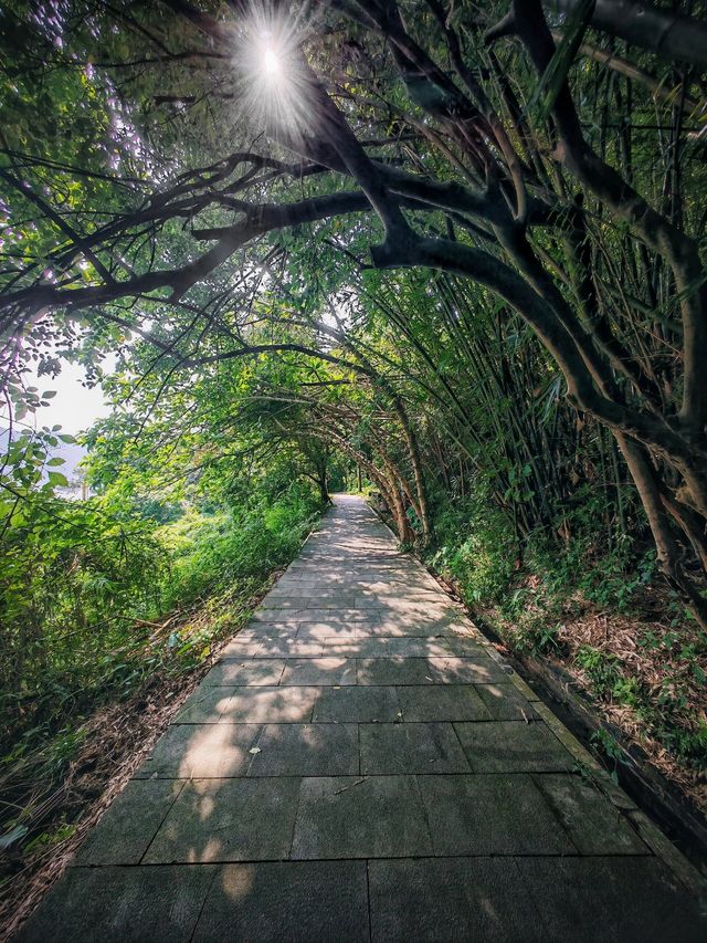 羚羊峽古棧道森林公園：一個富有生命力的綜合性公園